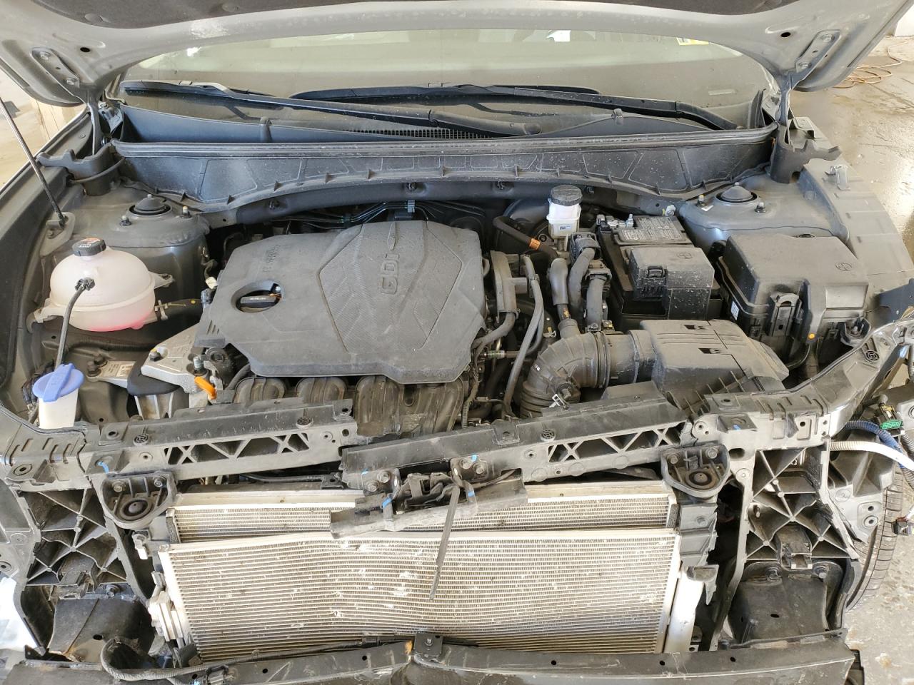 2024 Hyundai Tucson Limited VIN: 5NMJECDE8RH436637 Lot: 93195365