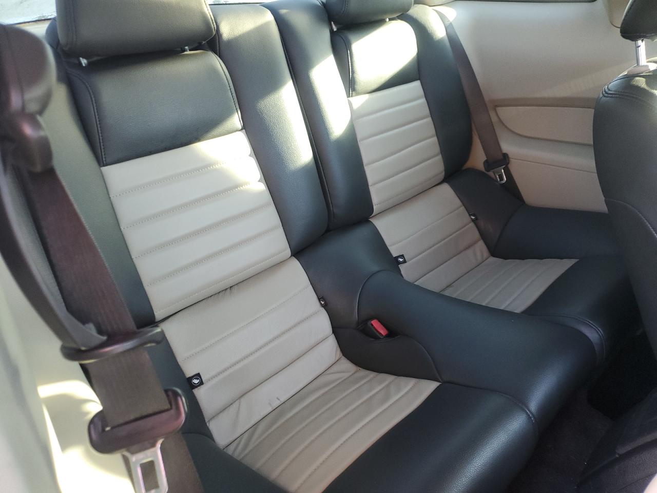 2011 Ford Mustang VIN: 1ZVBP8AM4B5135649 Lot: 92935585