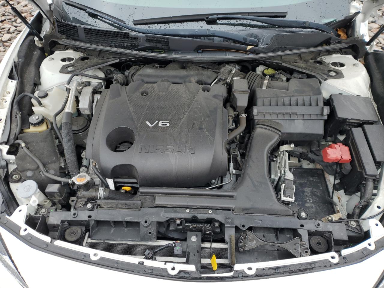 2019 Nissan Maxima S VIN: 1N4AA6AV9KC365203 Lot: 93234995