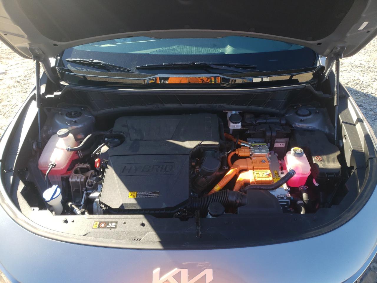 2023 Kia Niro Ex VIN: KNDCR3LEXP5048596 Lot: 92108135