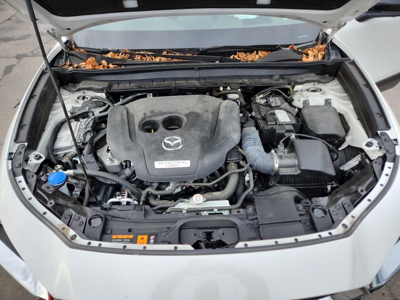 2024 Mazda Cx-30 Premium Plus VIN: 3MVDMBEY6RM622787 Lot: 92476295