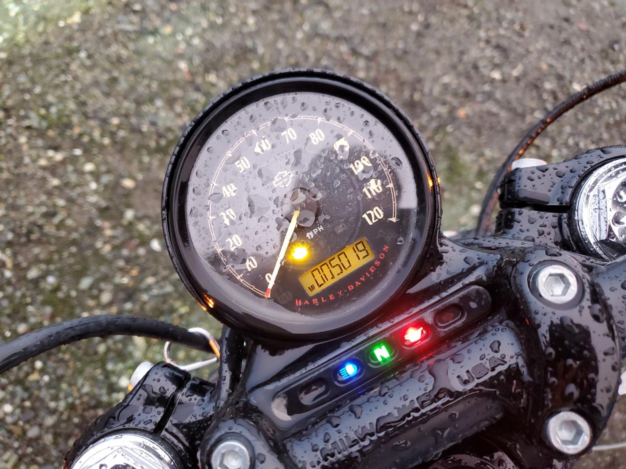 2022 Harley-Davidson Xl1200 X VIN: 1HD1LC31XNB401907 Lot: 92902185