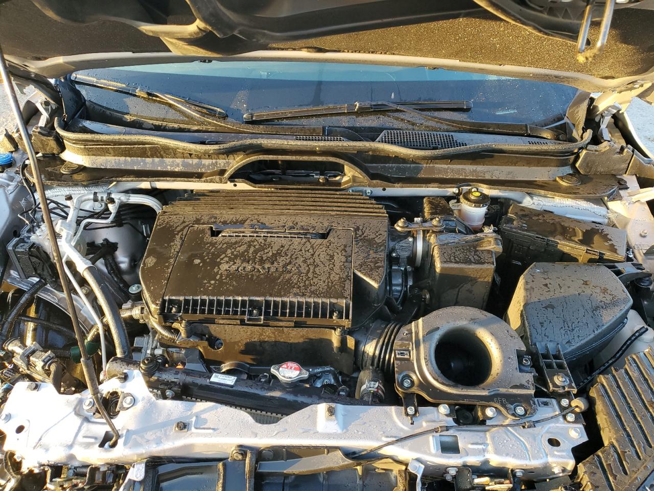 2025 Honda Pilot Elite VIN: 5FNYG1H8XSB047281 Lot: 92107075