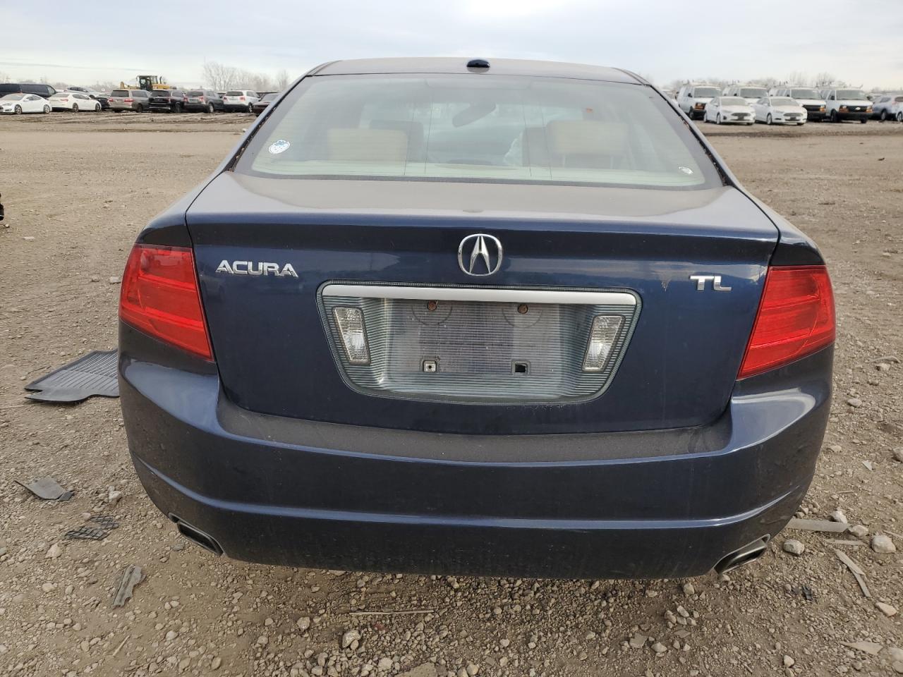 2004 Acura Tl VIN: 19UUA66284A034408 Lot: 92119965