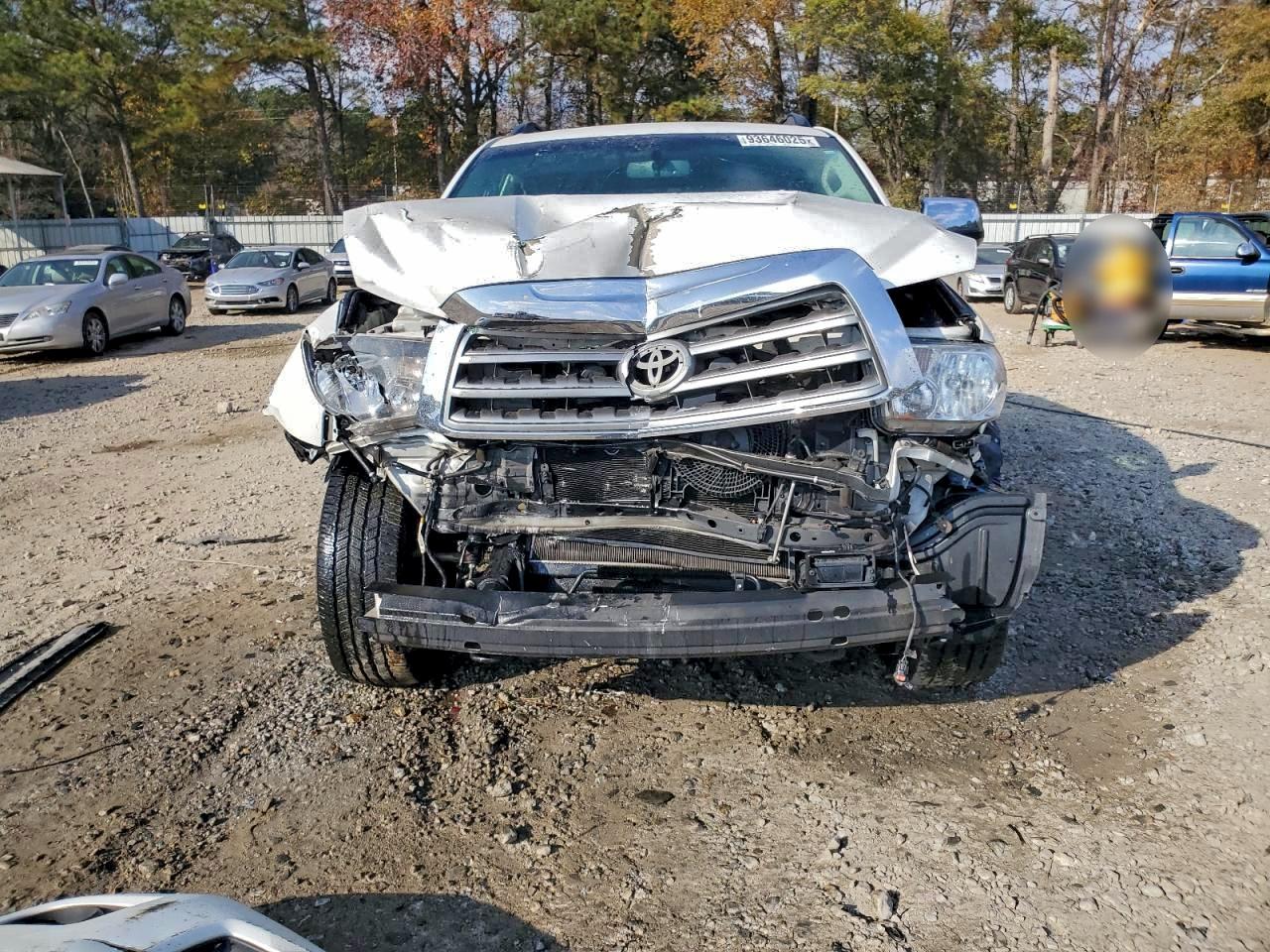 2017 Toyota Sequoia Platinum VIN: 5TDDW5G16HS154295 Lot: 93646025