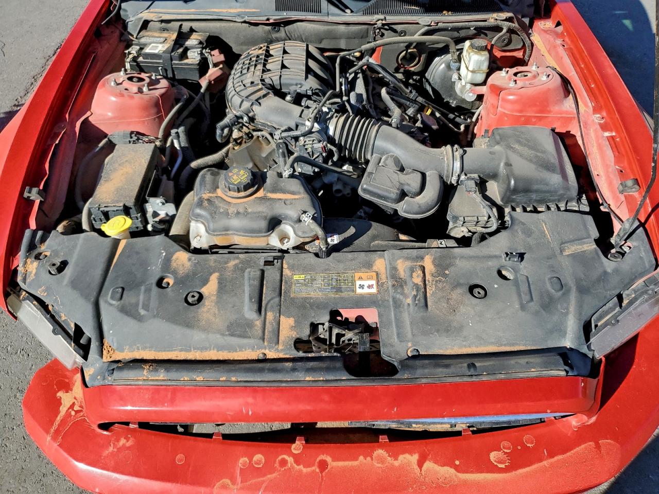 2014 Ford Mustang VIN: 1ZVBP8AMXE5313407 Lot: 93876225