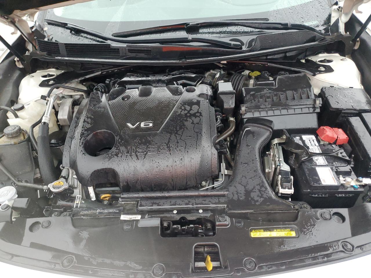 2019 Nissan Maxima S VIN: 1N4AA6AV5KC361925 Lot: 93148965