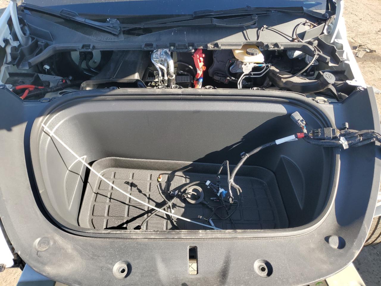 2023 Tesla Model Y VIN: 7SAYGDEF3PF708731 Lot: 92439725