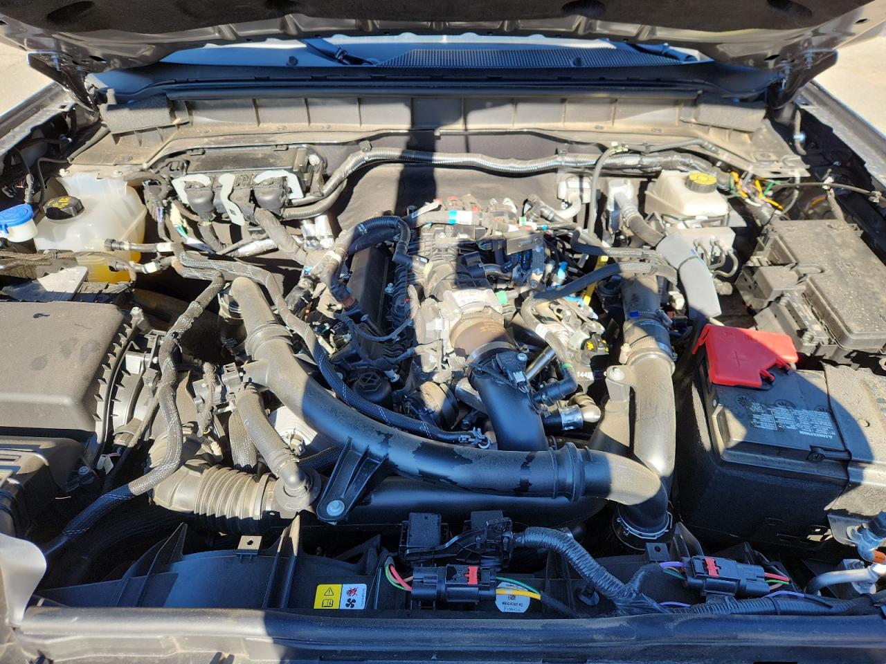 2024 Ford Bronco Wildtrak VIN: 1FMEE2BP2RLB54178 Lot: 94593315