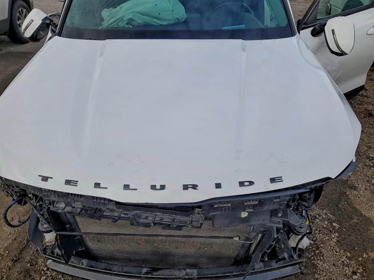 2022 Kia Telluride Sx VIN: 316941 Lot: 94415805