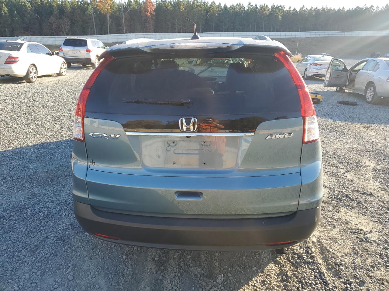 2013 Honda Cr-V Exl VIN: 5J6RM4H71DL025993 Lot: 91574465