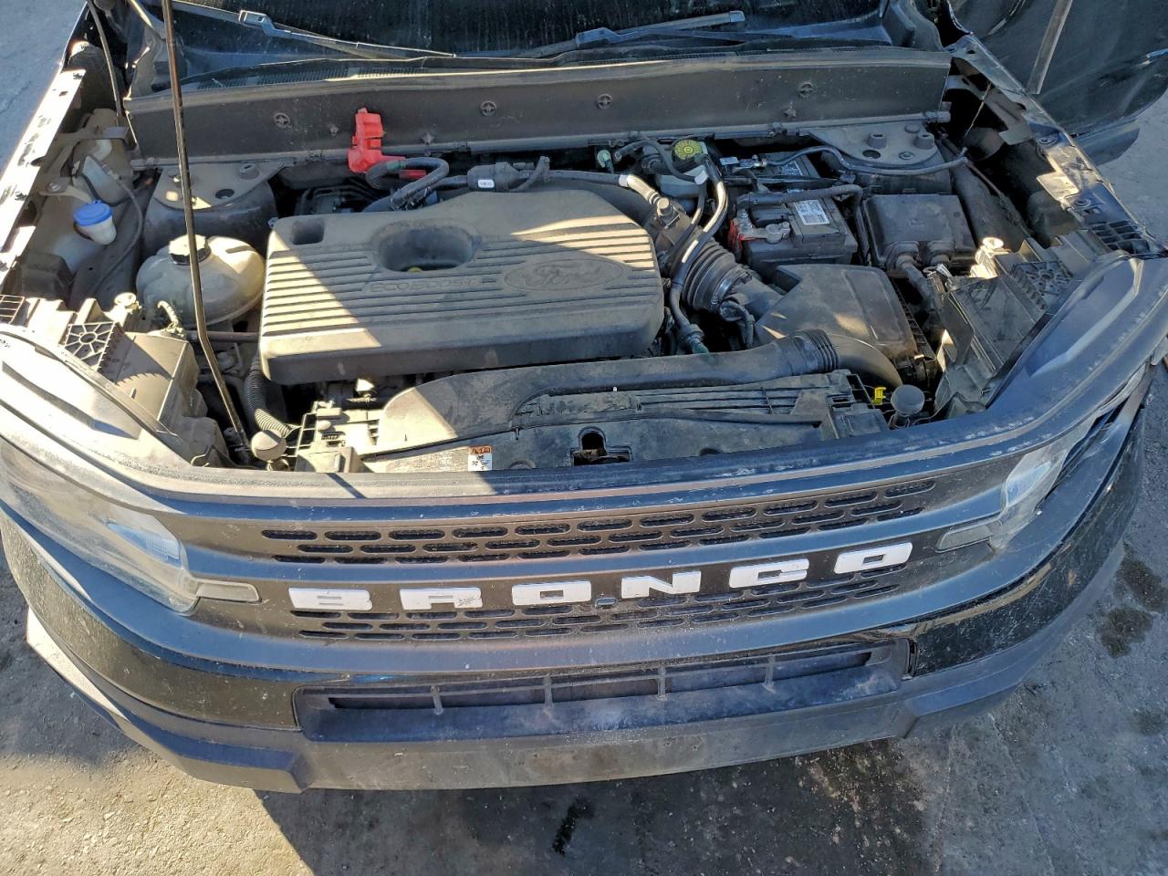 2021 Ford Bronco Sport Badlands VIN: 3FMCR9D93MRB30436 Lot: 94509655