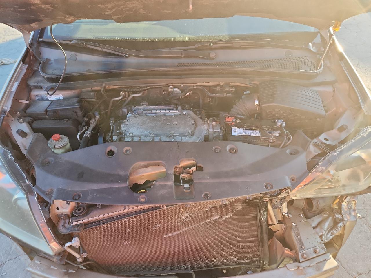 2005 Honda Odyssey Exl VIN: 5FNRL387X5B065691 Lot: 93108505