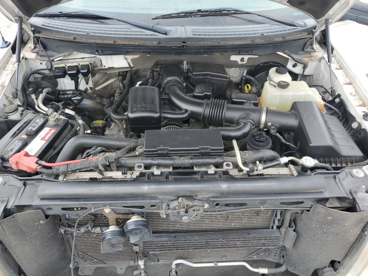 2010 Ford F150 Super Cab VIN: 1FTFX1CV2AFB91079 Lot: 93421725