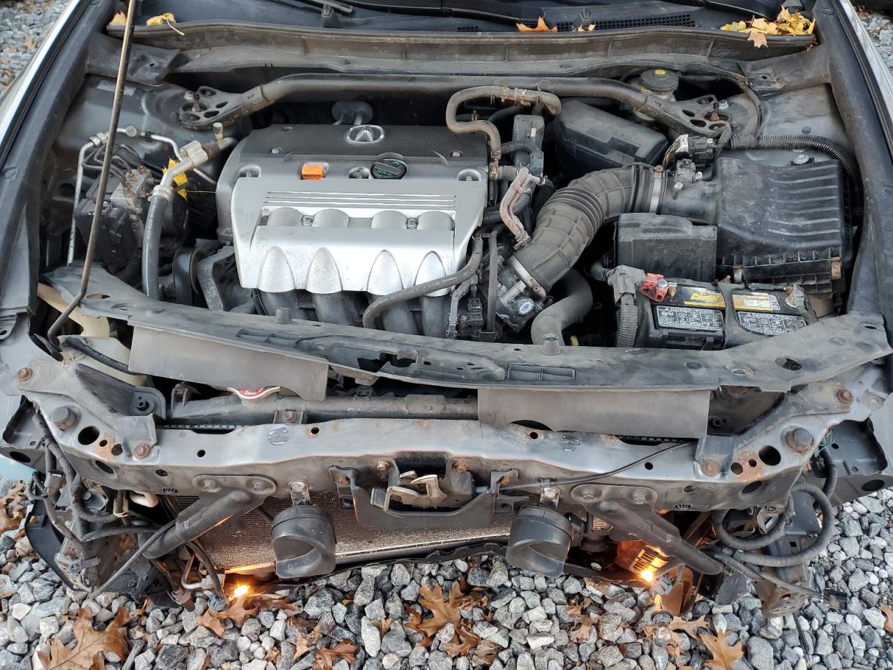 2009 Acura Tsx VIN: JH4CU26639C027891 Lot: 93191115