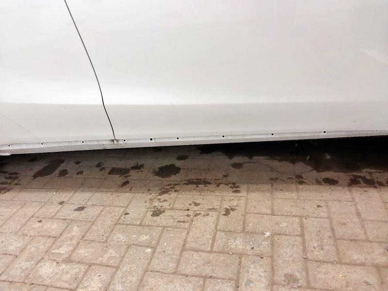 2024 TESLA MODEL Y RWD 5DR AUTO