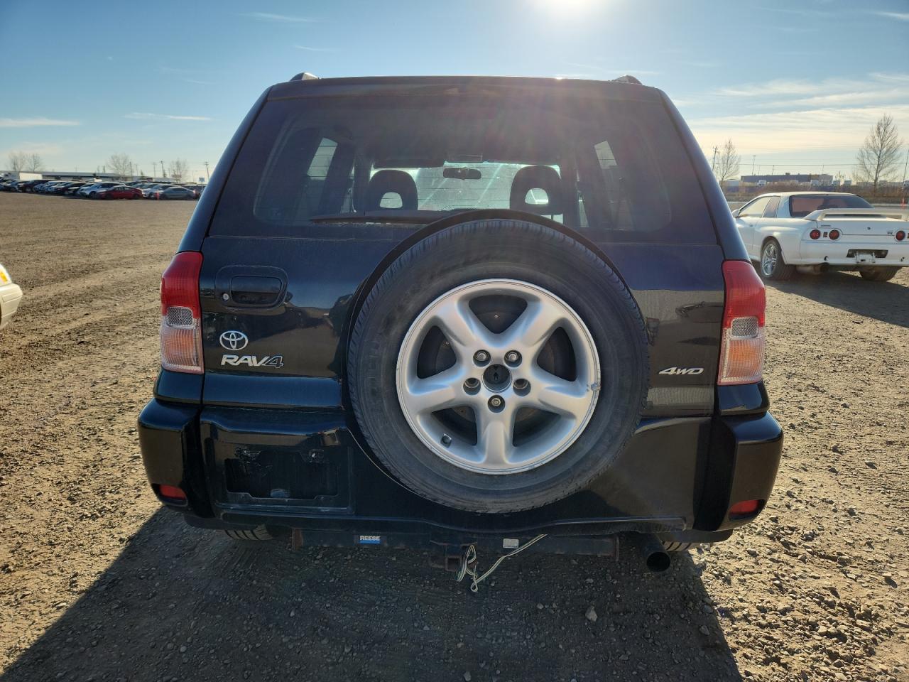 2003 Toyota Rav4 VIN: JTEHH20V736077724 Lot: 91483855