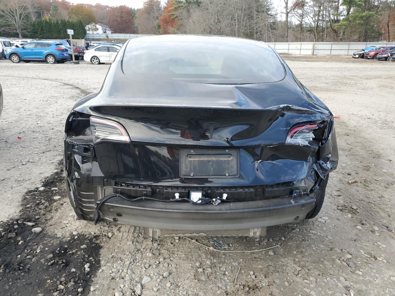 2023 Tesla Model 3 VIN: 5YJ3E1EA3PF451263 Lot: 91381045