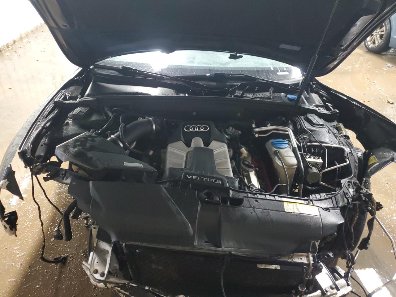 2013 Audi S5 Premium Plus VIN: WAUCGAFR9DA024296 Lot: 93464515