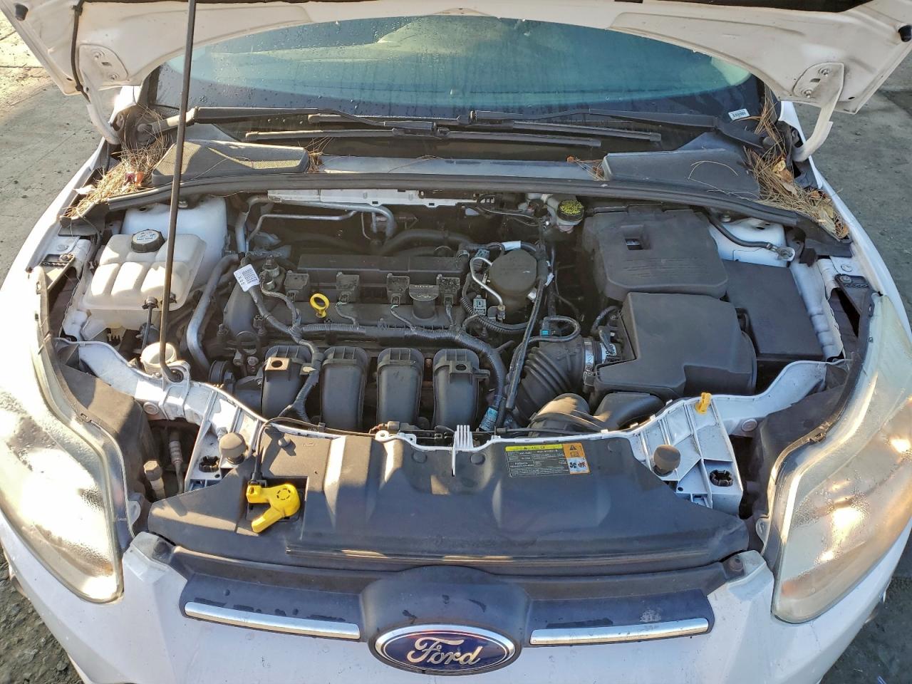 2012 Ford Focus Se VIN: 1FAHP3F24CL217195 Lot: 94507455