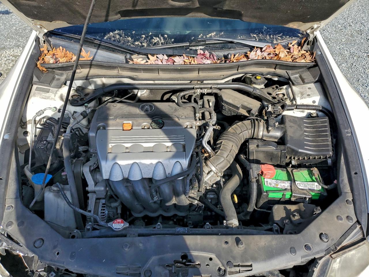 2010 Acura Tsx VIN: JH4CU2F68AC003056 Lot: 94512705