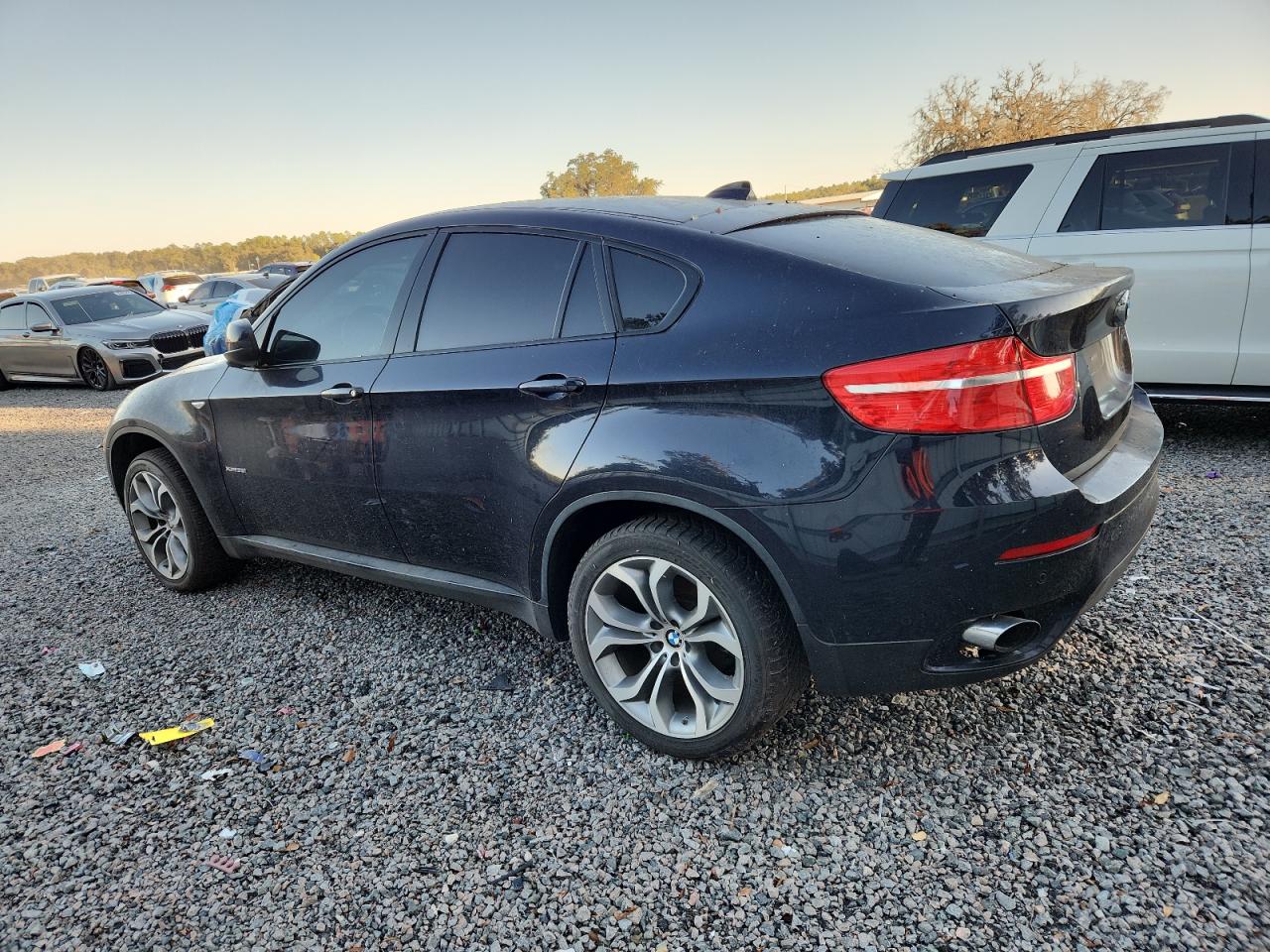 Фото: 5UXFG2C56BLX08455