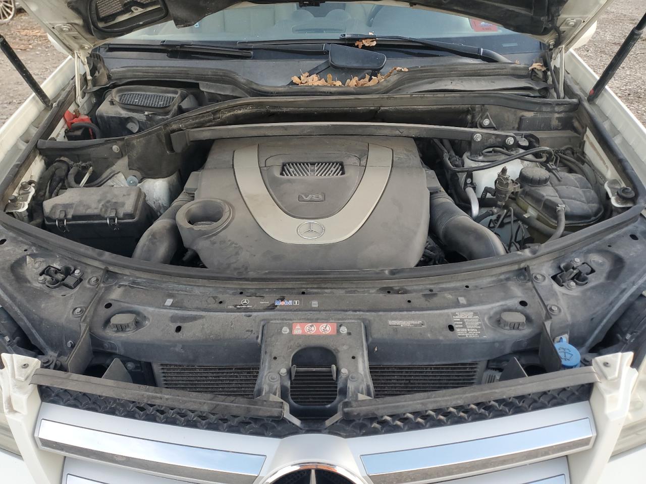 2010 Mercedes-Benz Gl 450 4Matic VIN: 4JGBF7BE6AA603454 Lot: 93036075