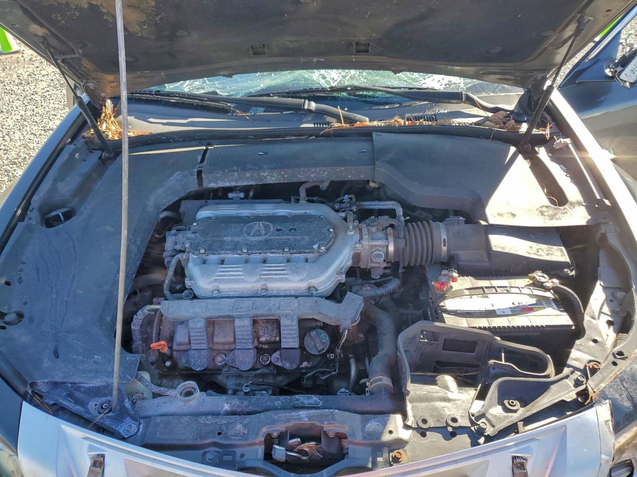 2009 Acura Tl VIN: 19UUA86239A022119 Lot: 93283735