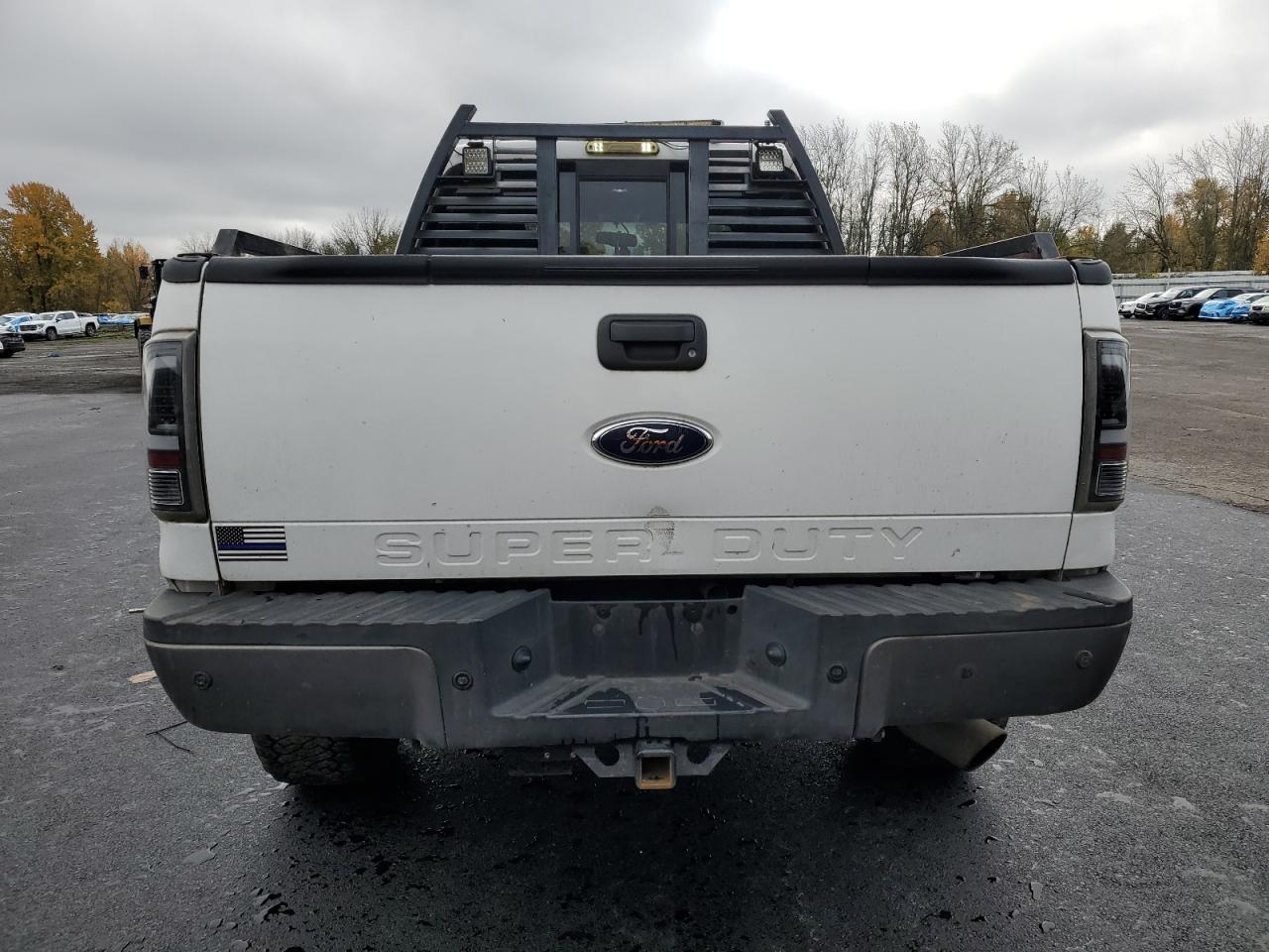 2010 Ford F350 Super Duty VIN: 1FTWW3BR5AEA69051 Lot: 92734955