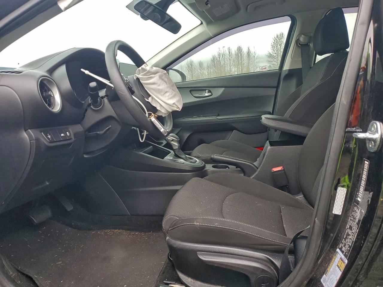 2020 Kia Forte Fe VIN: 3KPF24AD7LE250635 Lot: 94729445