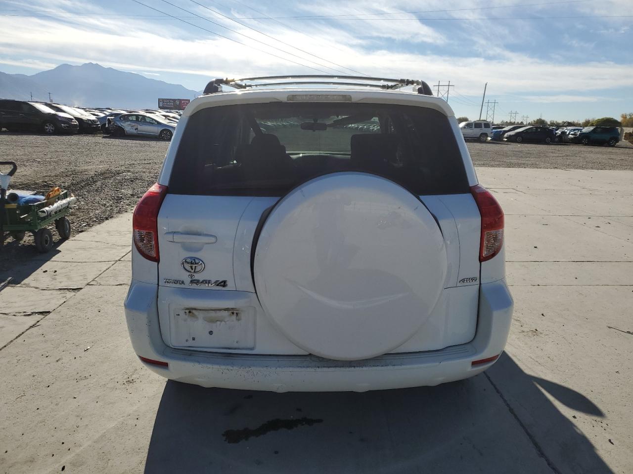 2008 Toyota Rav4 VIN: JTMBD33V786071971 Lot: 91038265