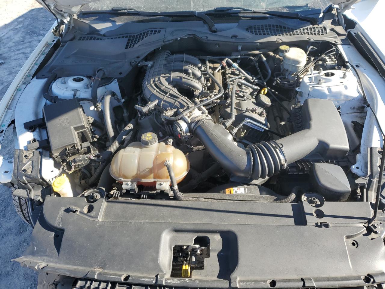 2015 Ford Mustang VIN: 1FA6P8AM5F5394490 Lot: 92239705