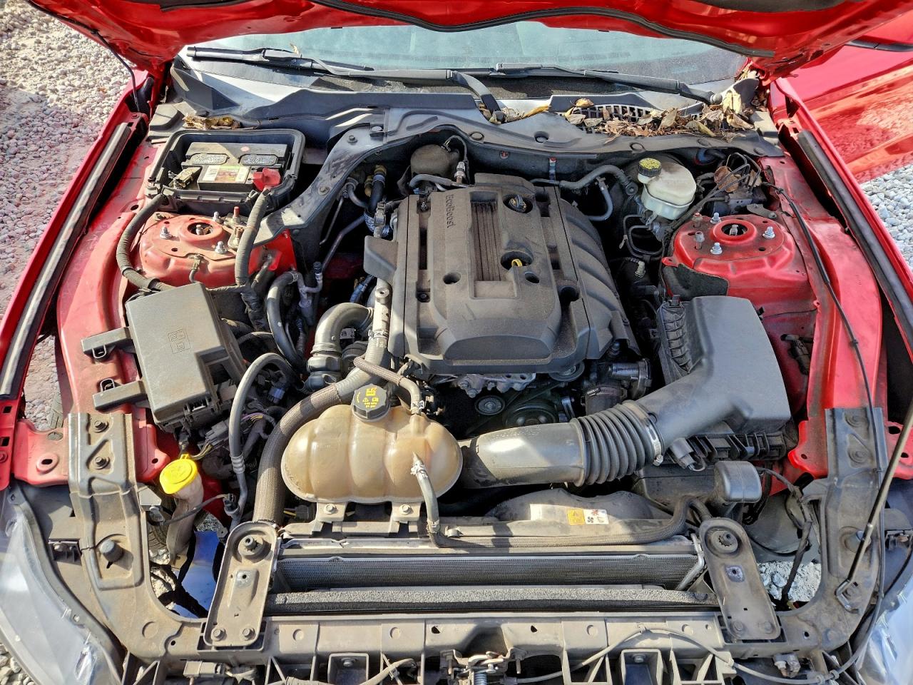 2017 Ford Mustang VIN: 1FA6P8TH1H5254732 Lot: 93404795