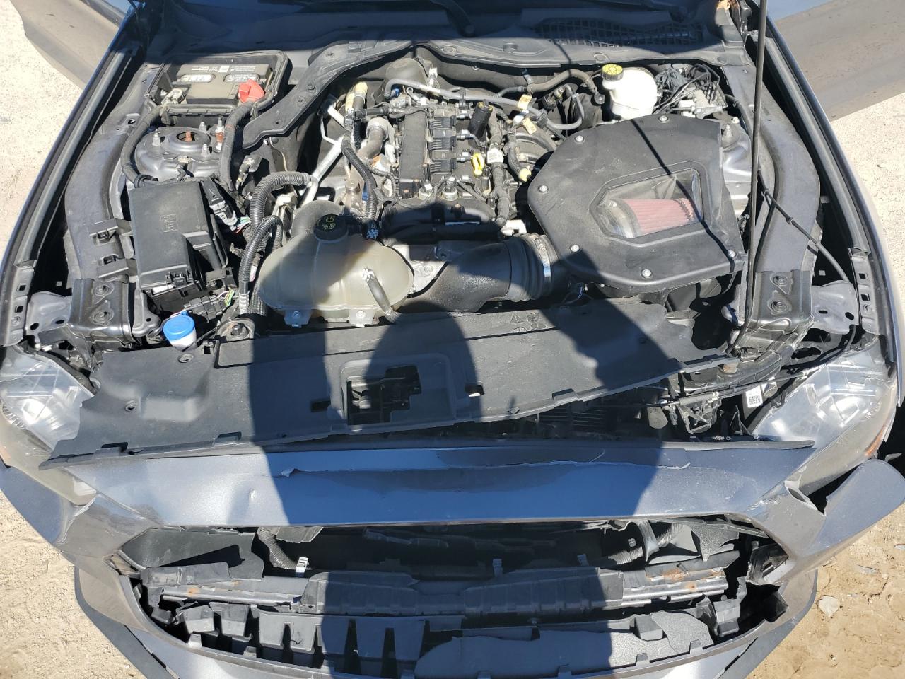 2021 Ford Mustang VIN: 1FA6P8TH5M5126780 Lot: 91517145