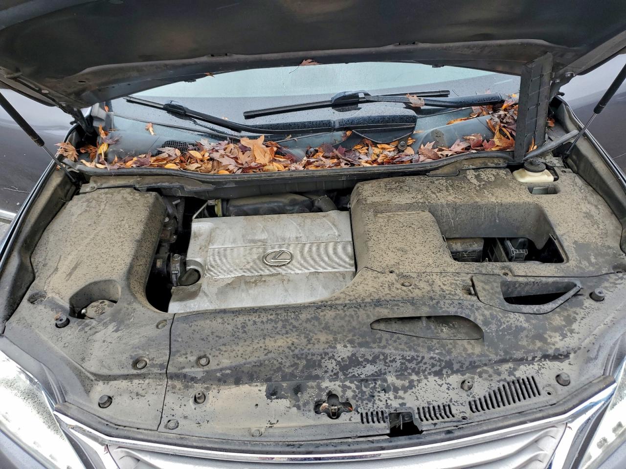 2015 Lexus Rx 350 Base VIN: 2T2BK1BA7FC323714 Lot: 93873445