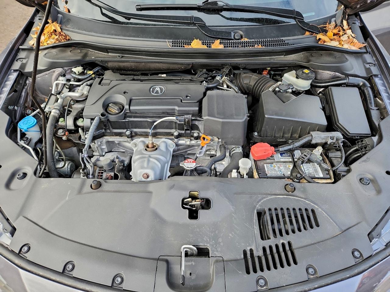 2022 Acura Ilx Premium VIN: 19UDE2F71NA800425 Lot: 93707525