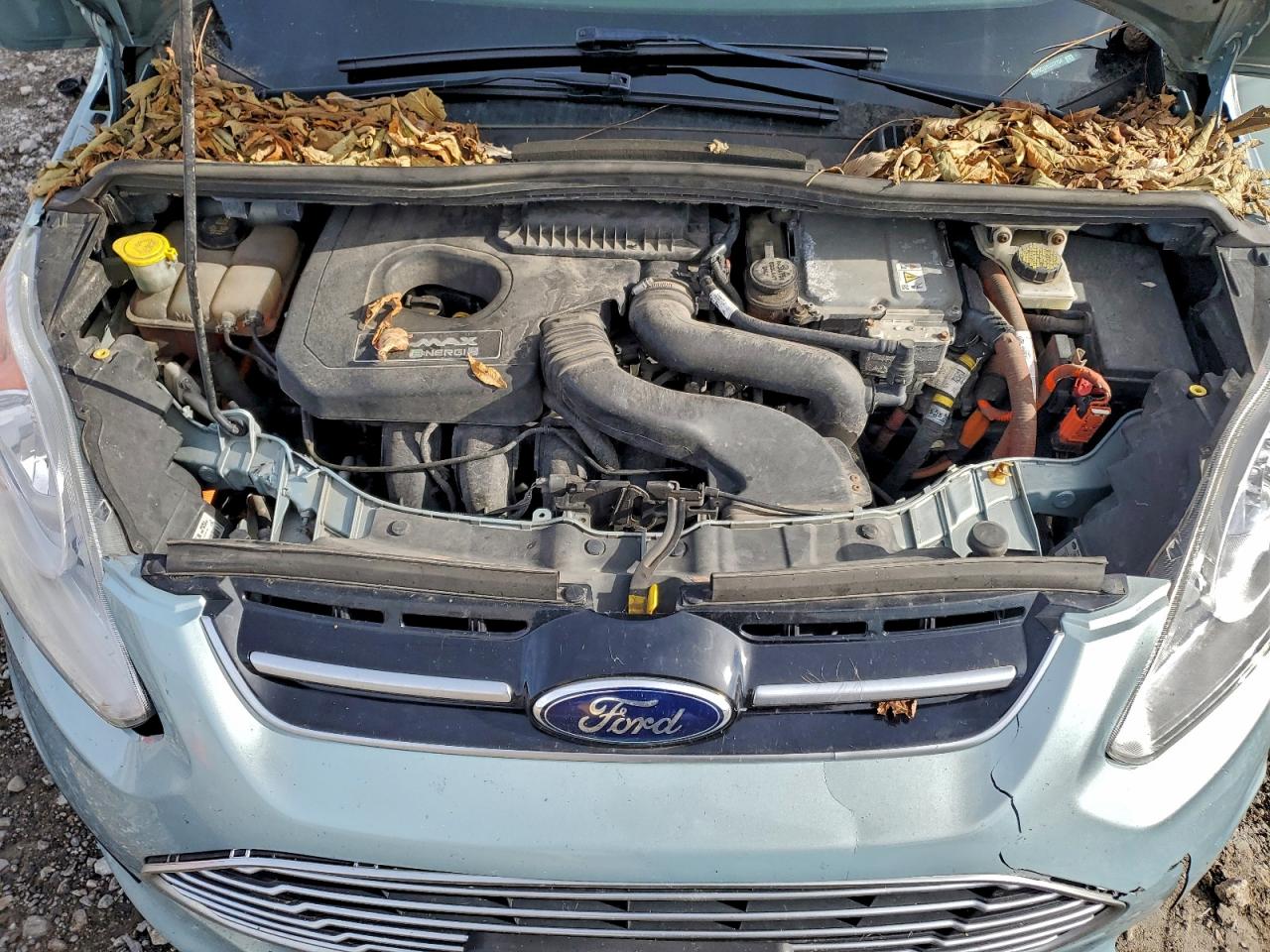 2014 Ford C-Max Premium VIN: 1FADP5CU7EL517154 Lot: 94315195