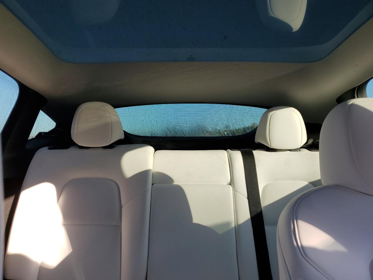 2024 Tesla Model Y VIN: 7SAYGDEEXRA313050 Lot: 92929775