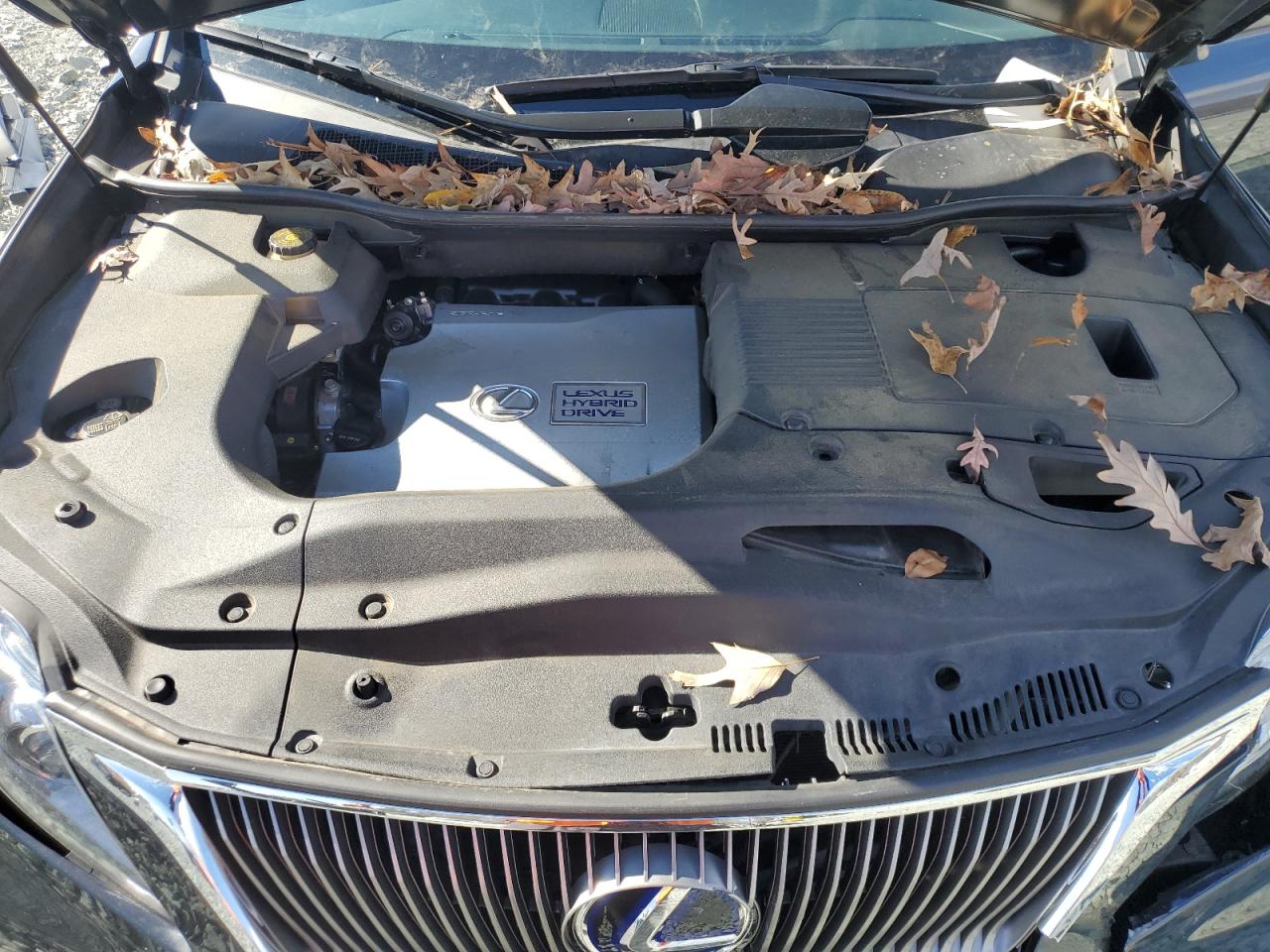 2011 Lexus Rx 450H VIN: JTJZB1BAXB2404859 Lot: 91393795