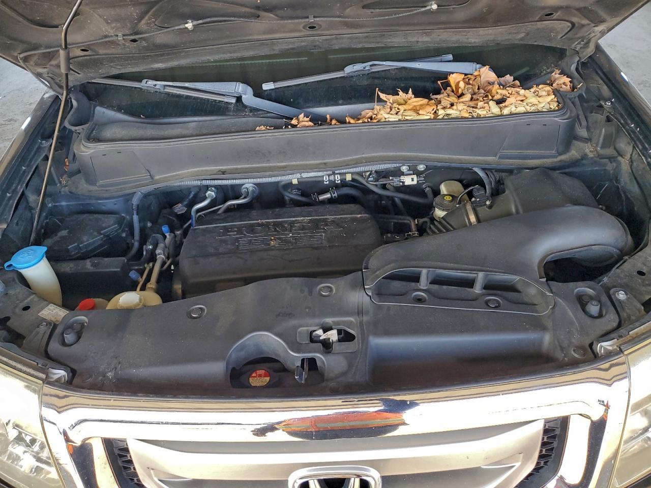 2011 Honda Pilot Exln VIN: 5FNYF4H72BB007529 Lot: 93468215