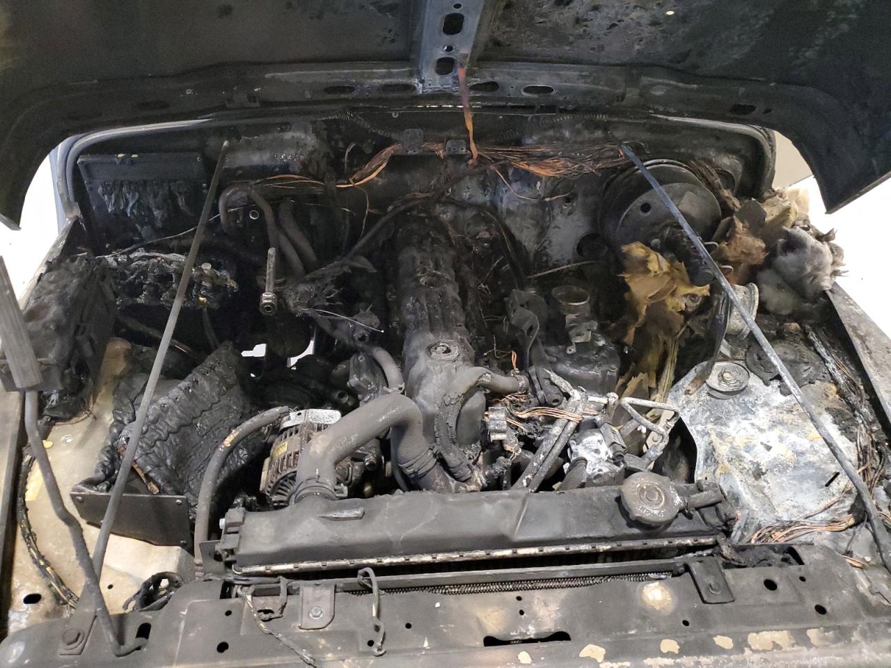 2005 Jeep Wrangler / Tj Unlimited VIN: 1J4FA44S95P302955 Lot: 93401805