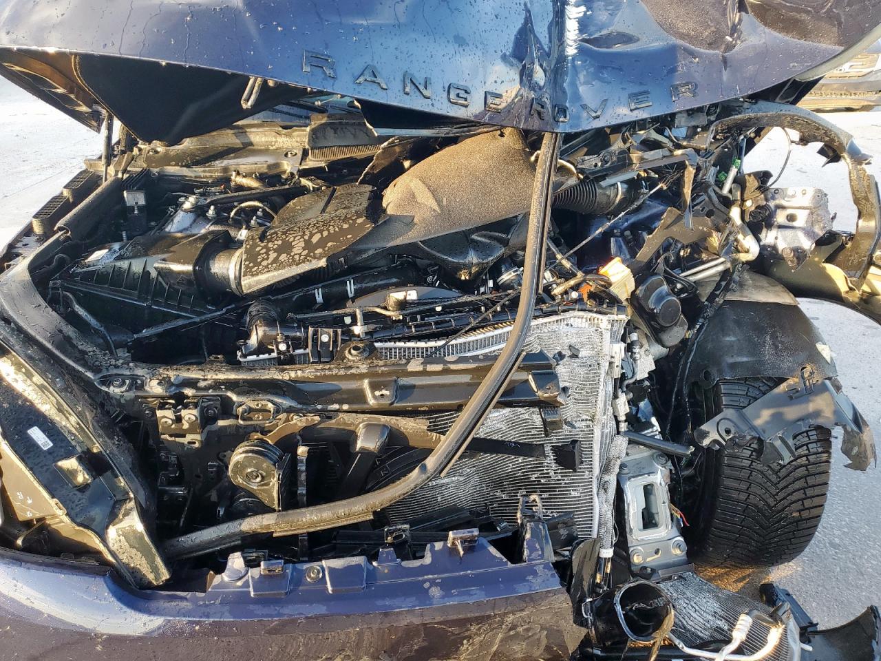 2019 Land Rover Range Rover Sport Supercharged Autobiography VIN: SALWV2RE0KA840422 Lot: 92986655