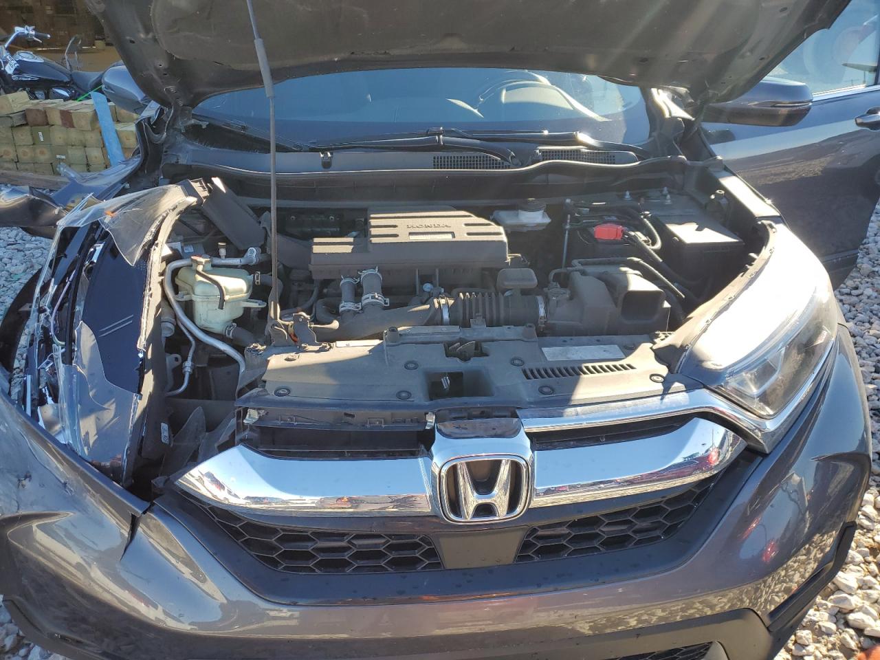 2019 Honda Cr-V Ex VIN: 5J6RW2H56KA013814 Lot: 90797995