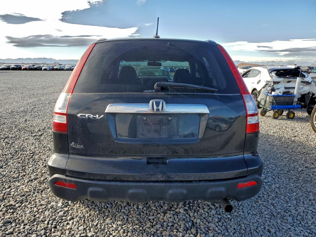 2009 Honda Cr-V Exl VIN: 5J6RE48789L050376 Lot: 94600485