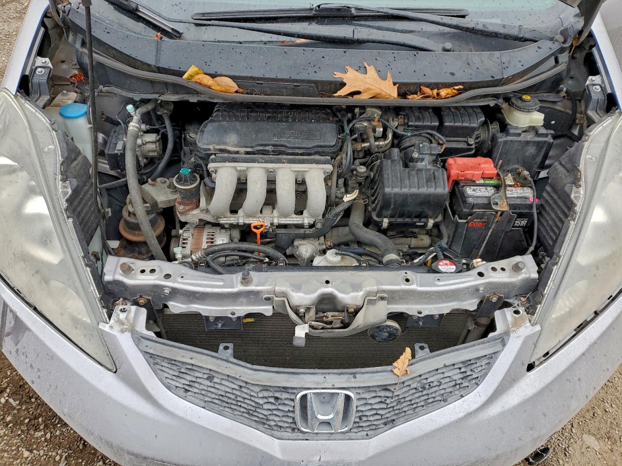 2009 Honda Fit VIN: JHMGE88249S074462 Lot: 91700985