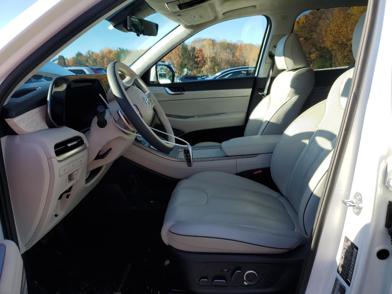 2024 Hyundai Palisade Calligraphy VIN: KM8R7DGE6RU672559 Lot: 90133325