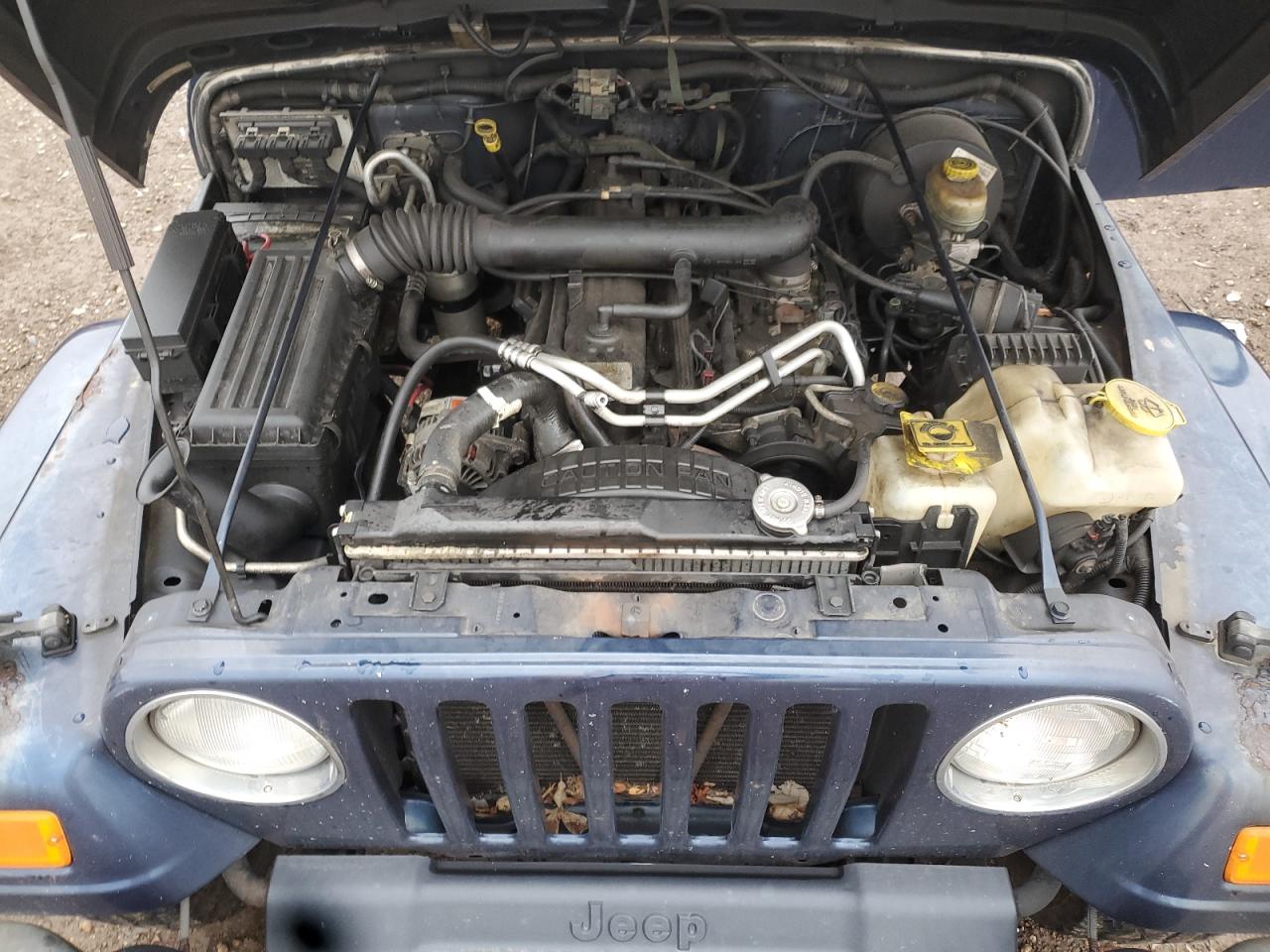 2003 Jeep Wrangler Commando VIN: 1J4FA39S63P357346 Lot: 92447715