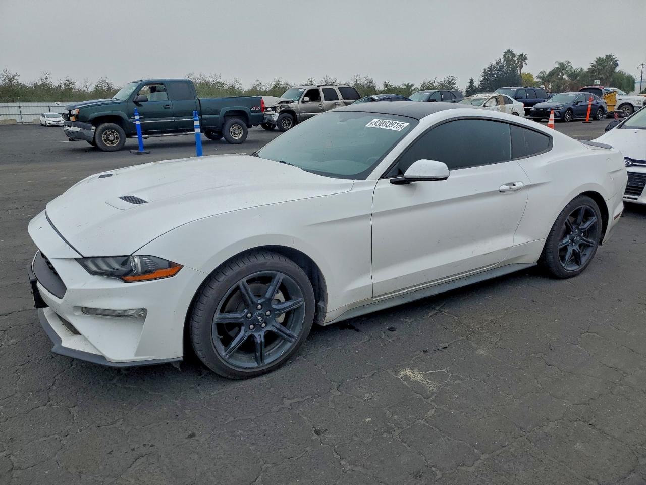 2019 Ford Mustang VIN: 1FA6P8THXK5135567 Lot: 93893915
