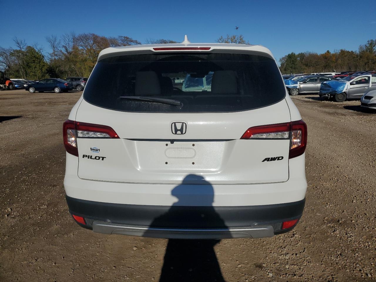 2020 Honda Pilot Exl VIN: 5FNYF6H53LB037098 Lot: 91227545