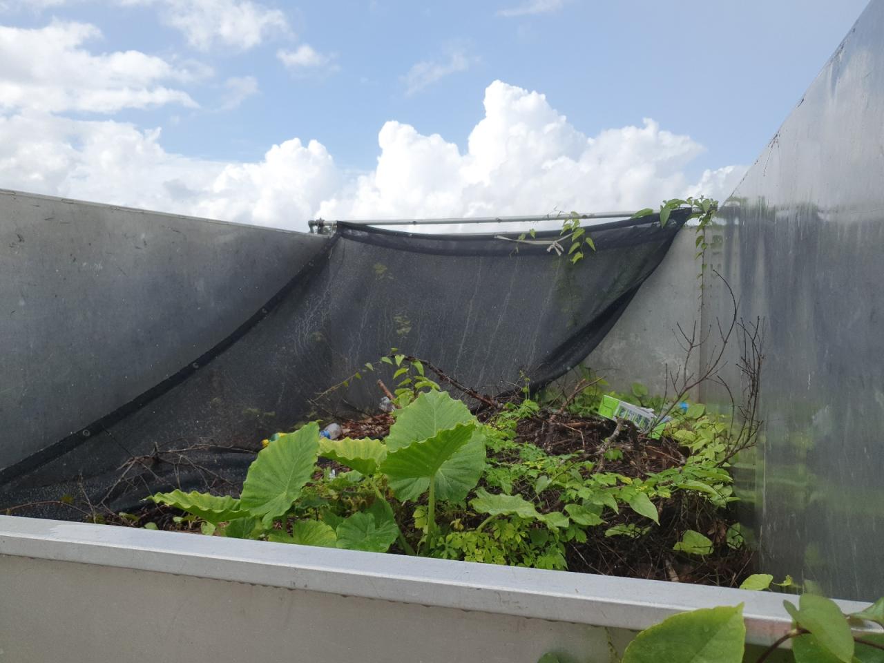 2013 Mitsubishi Fuso Truck Of America Inc Fe Fec72S VIN: JL6BNC1A7DK008469 Lot: 85643945